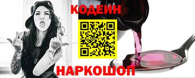 a pvp Новозыбков