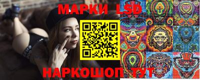 a pvp Новозыбков
