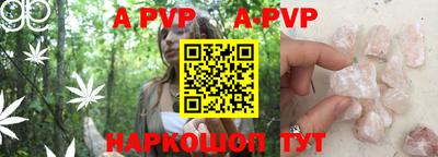 a pvp Новозыбков