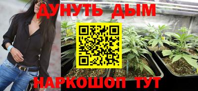 a pvp Новозыбков