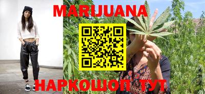 a pvp Новозыбков