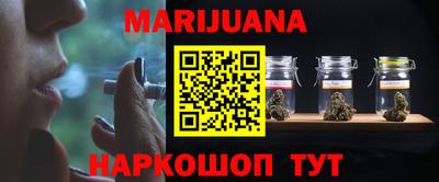 a pvp Новозыбков