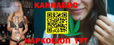 a pvp Новозыбков