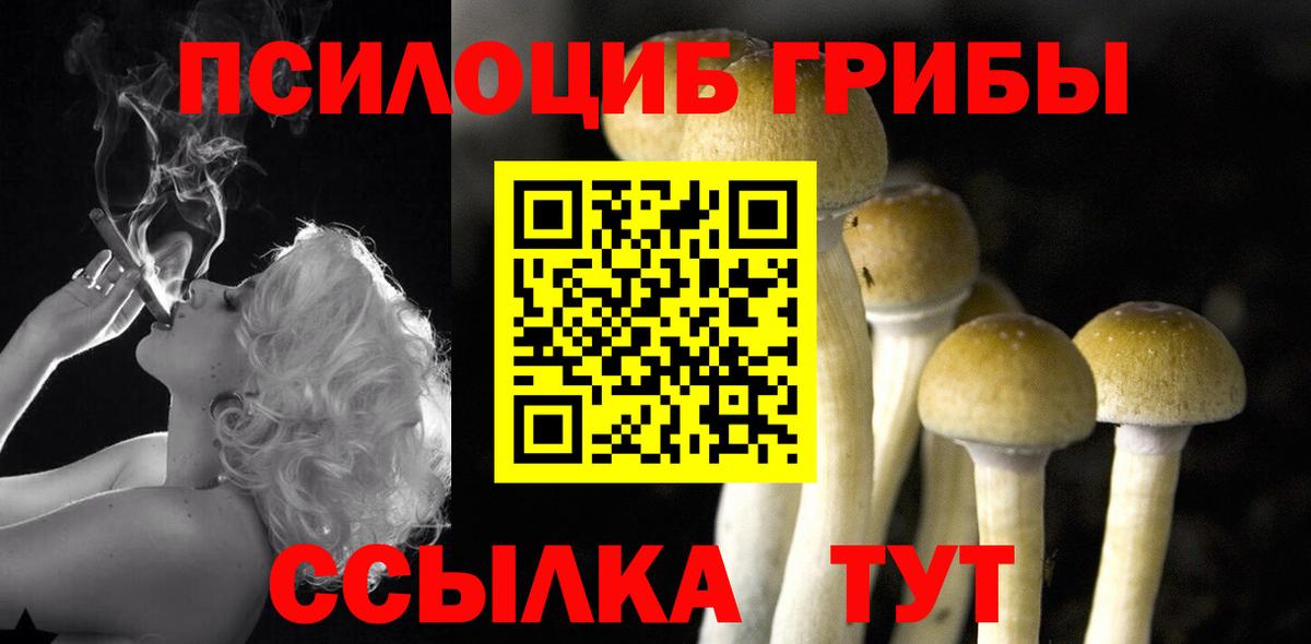 Псилоцибиновые грибы MAGIC MUSHROOMS  Вход с VPN  Обнинск  Псилоцибиновые грибы MAGIC MUSHROOMS 